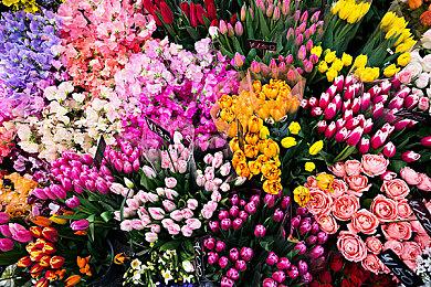 猫咪冒险游戏《迷失》流程长度公布 7-8小时可通关